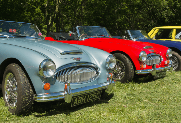 Austin Healey 3000 Mark 3 vehicles at UK vintage vehicle rally