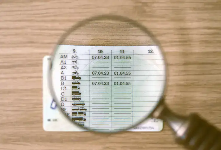 The back of a driver's license